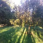 Ferienhaus Nature