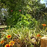 Nature *