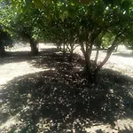 בית נופש Nature