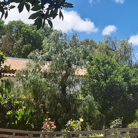 Nature Λάγος
