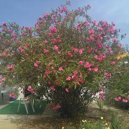 Prázdninový dům Nature *