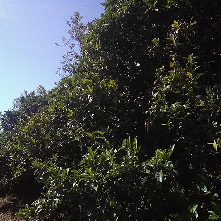 Nature Dom wakacyjny *