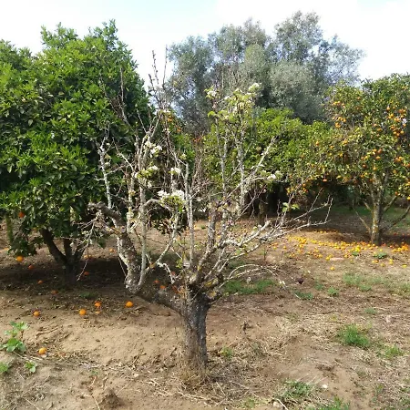 Nature * Λάγος