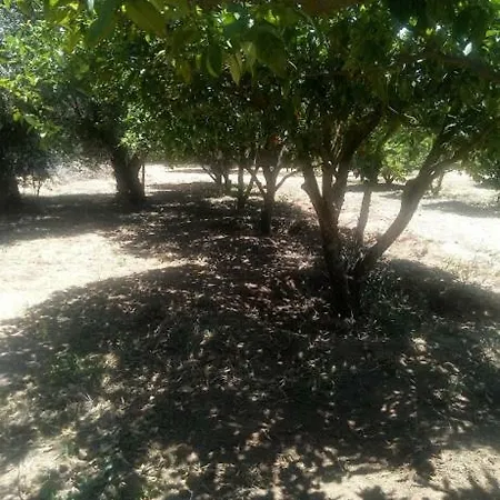 Prázdninový dům Nature