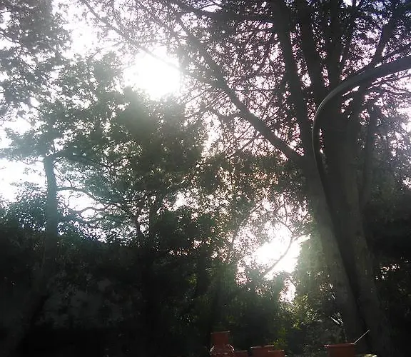 Дом отдыха Nature *