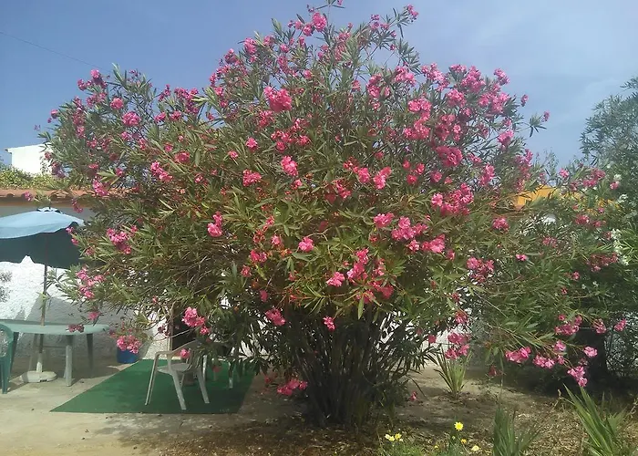 Дом отдыха Nature *