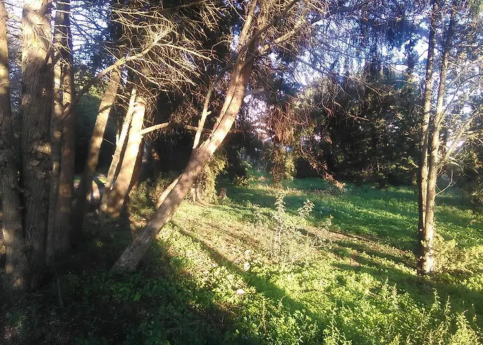 Nature Дом отдыха