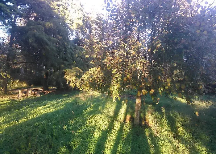 Дом отдыха Nature