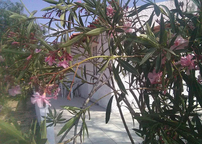 Дом отдыха Nature