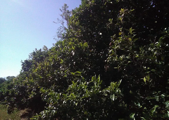 Nature Дом отдыха *