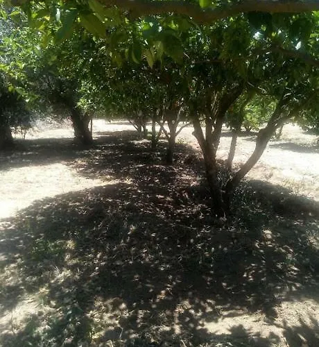 Дом отдыха Nature