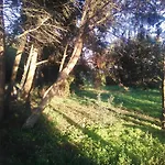 Nature Prázdninový dům