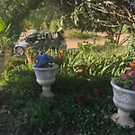 Nature Lagos