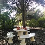 Nature *