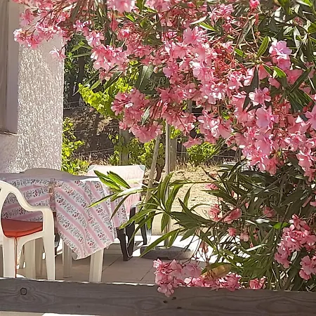 Holiday home Nature Houses Lagos