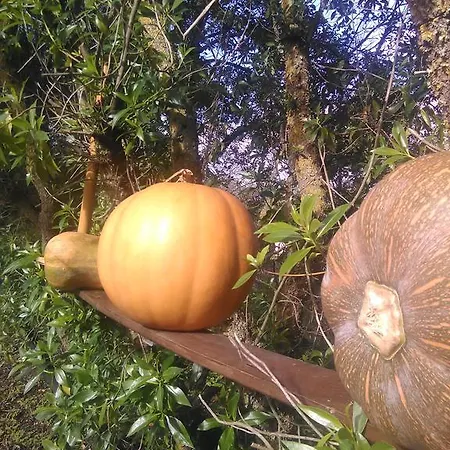 Nature Houses Lagos