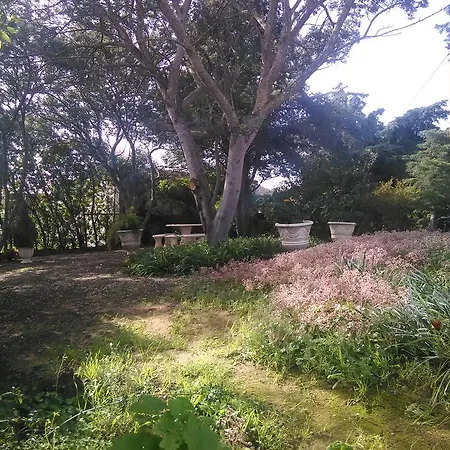 Ferienhaus Nature