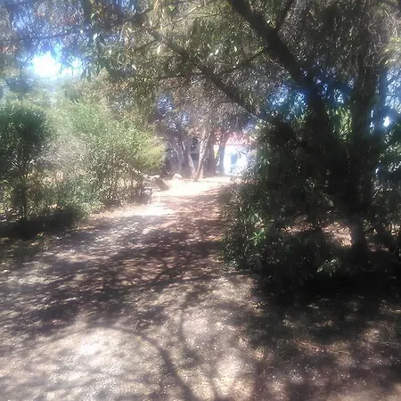 Nature Houses