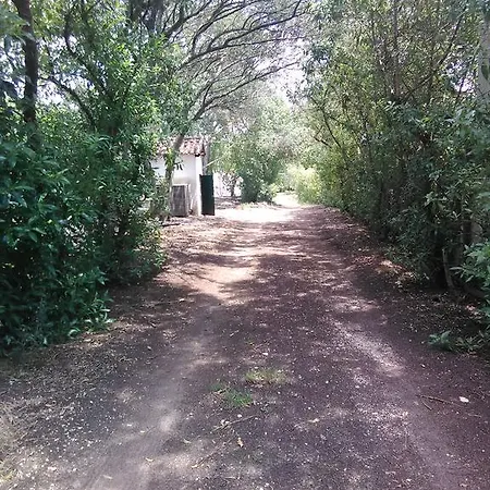 Nature Houses