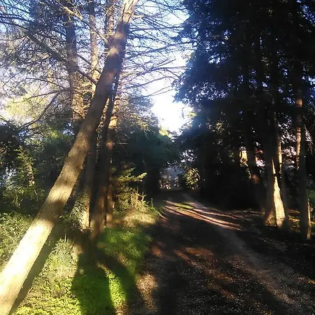 Nature Houses