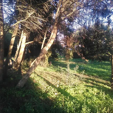 Nature Ferienhaus