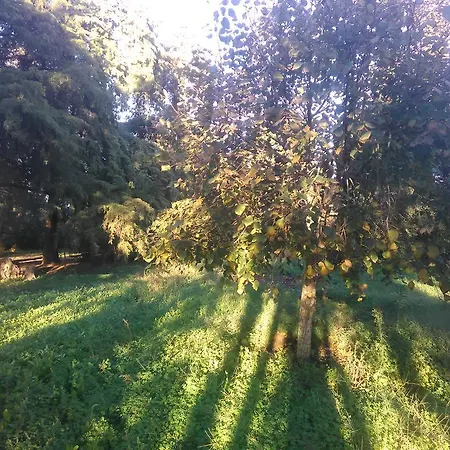 Ferienhaus Nature