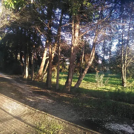 Nature Houses * Lagos