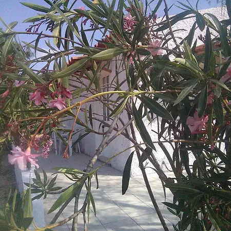 Ferienhaus Nature